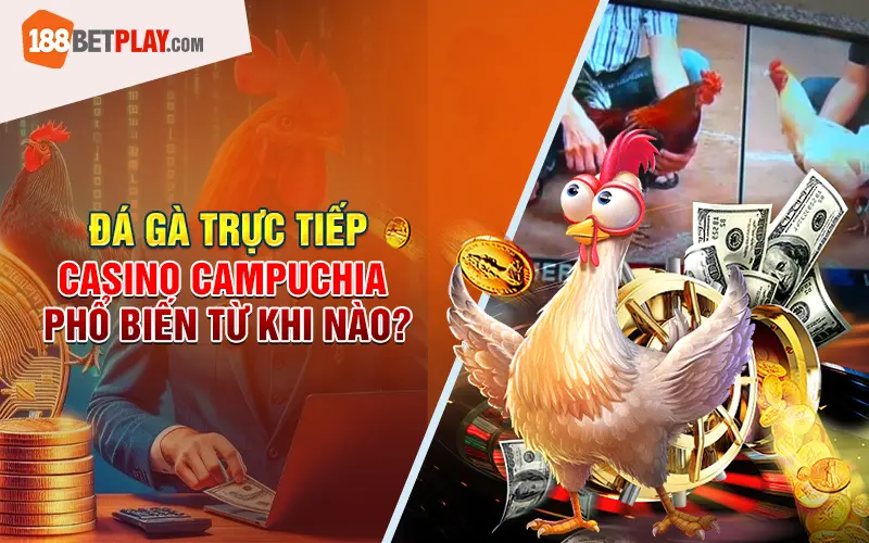 Đá gà trực tiếp Casino Campuchia phổ biến từ khi nào? 